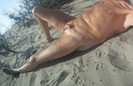 nu à la plage 